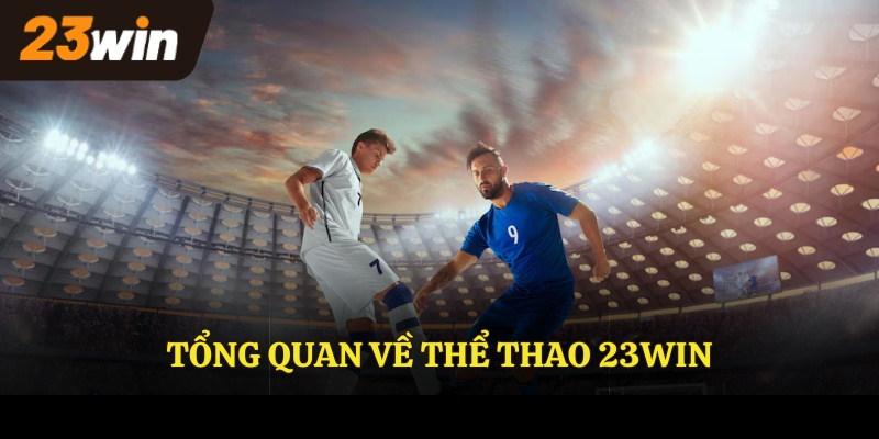 Tổng quan về thể thao 23Win
